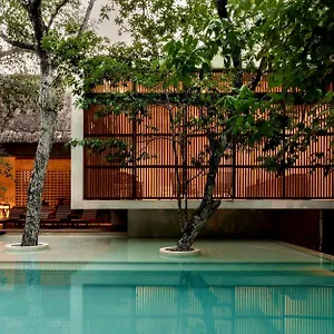 jungle-keva-tulum.allrivieramayahotels.com/